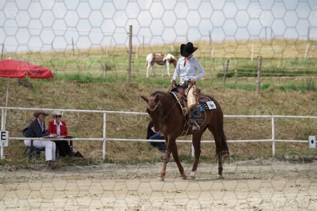 s_K3F06975.JPG